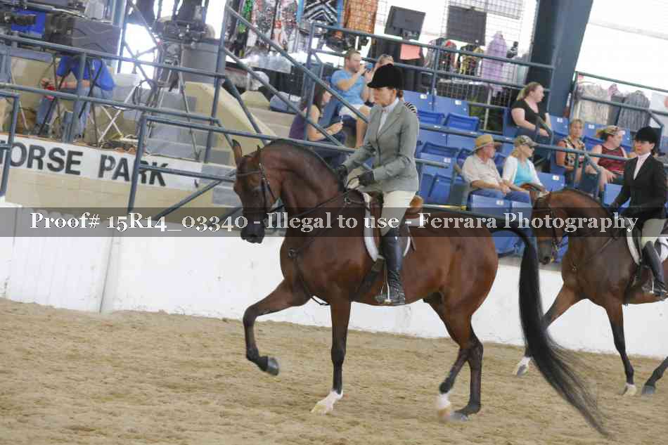 Proof 15R14_03340