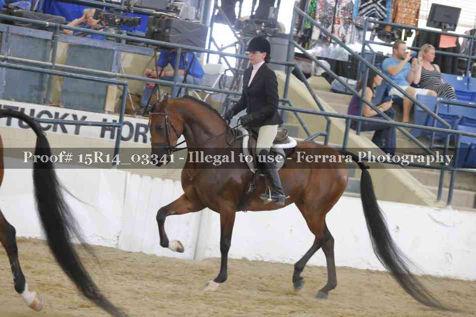 Proof 15R14_03341