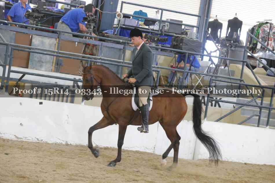 Proof 15R14_03343