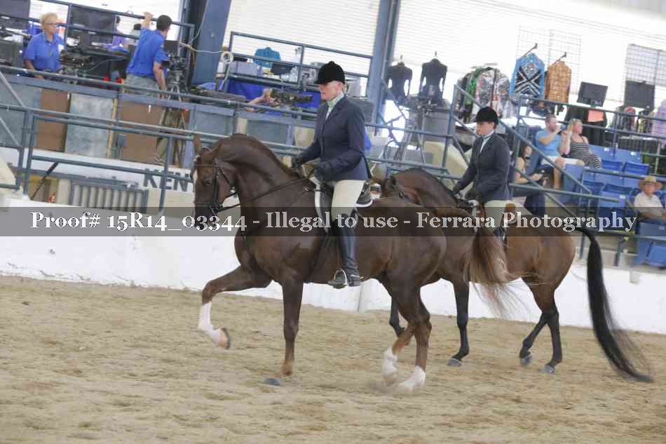 Proof 15R14_03344