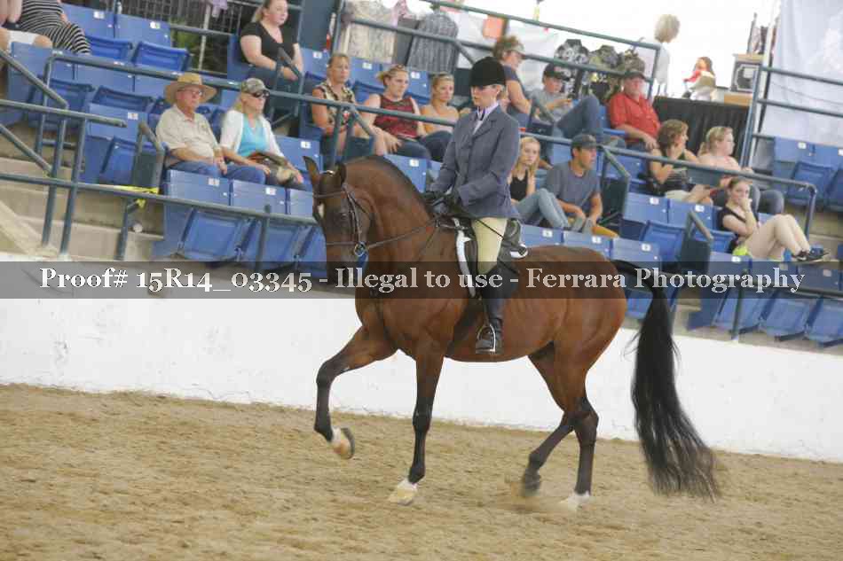 Proof 15R14_03345