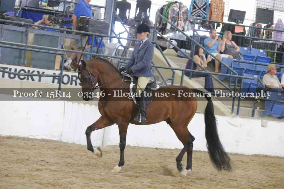 Proof 15R14_03346
