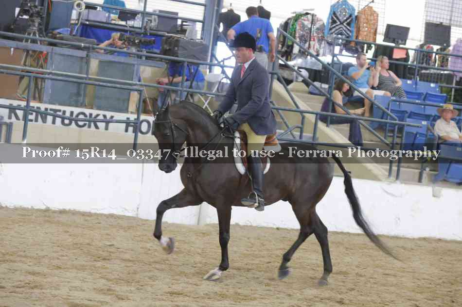 Proof 15R14_03347