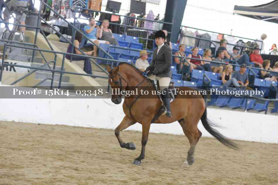 Proof 15R14_03348