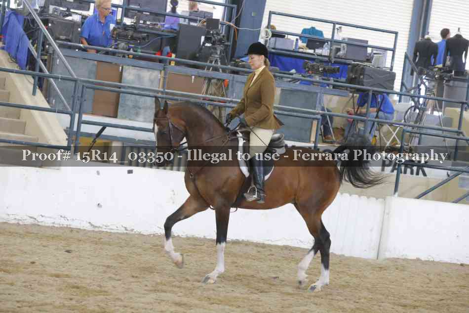 Proof 15R14_03350