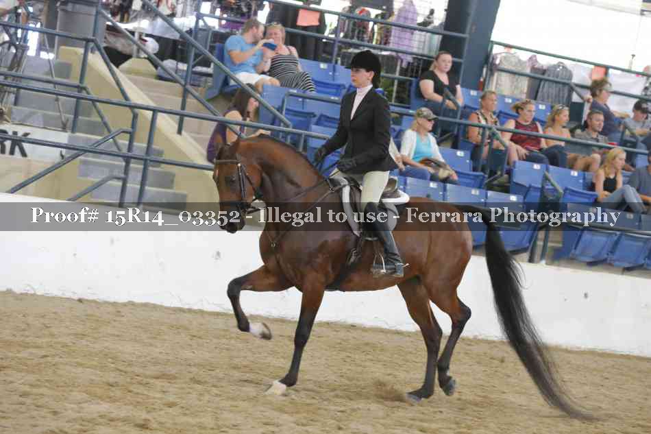 Proof 15R14_03352