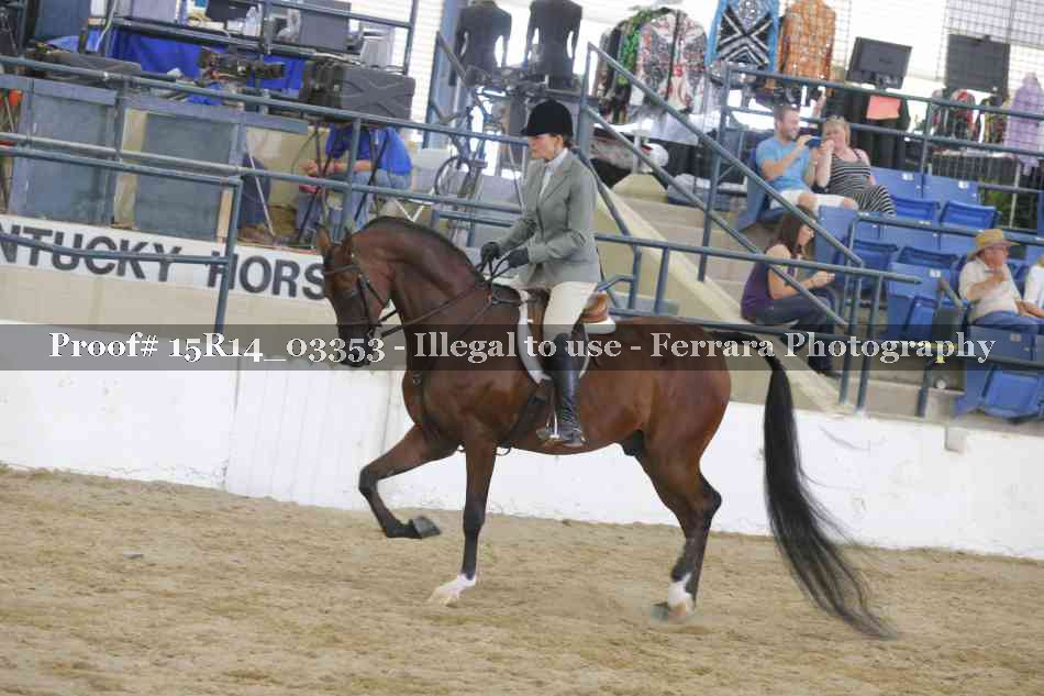 Proof 15R14_03353
