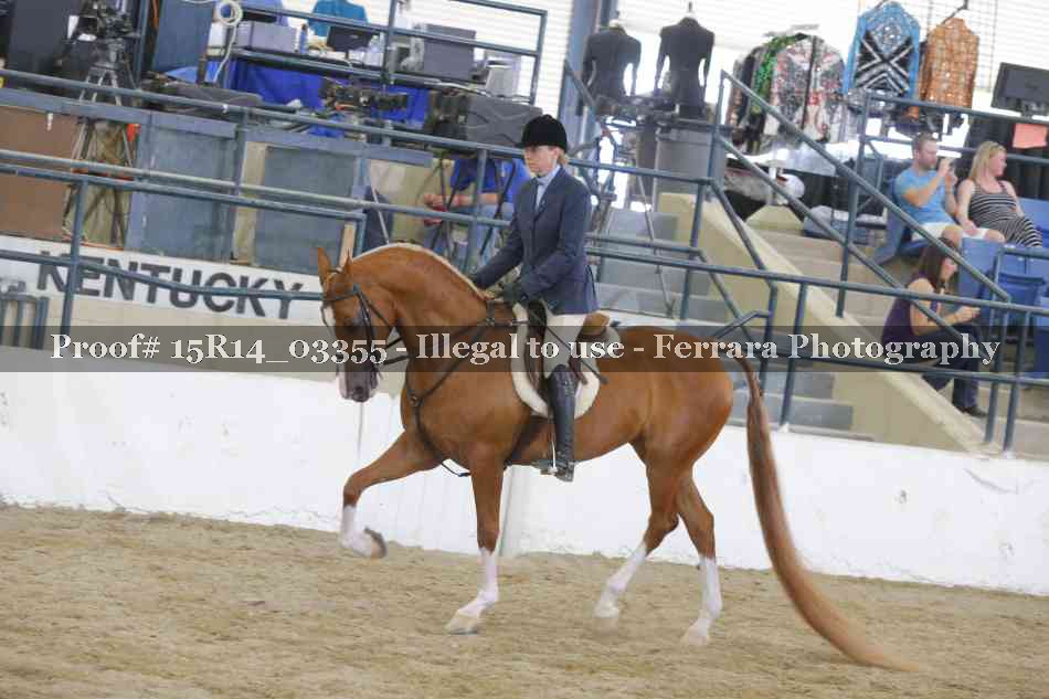 Proof 15R14_03355