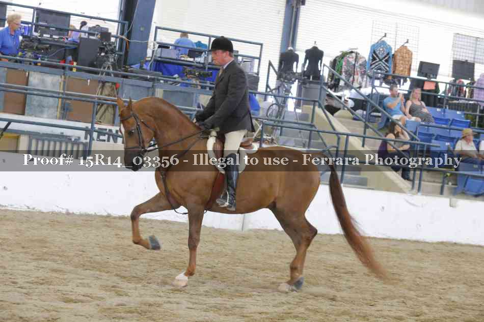 Proof 15R14_03356