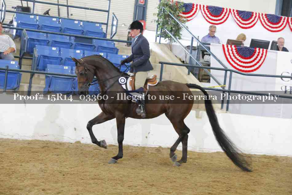 Proof 15R14_03360