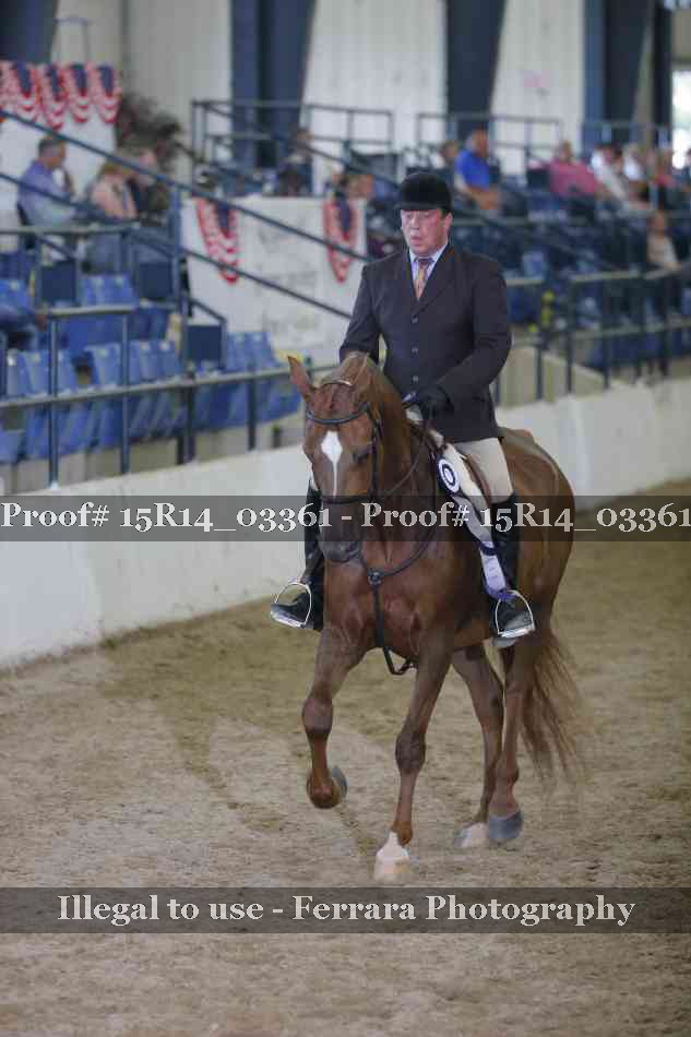 Proof 15R14_03361