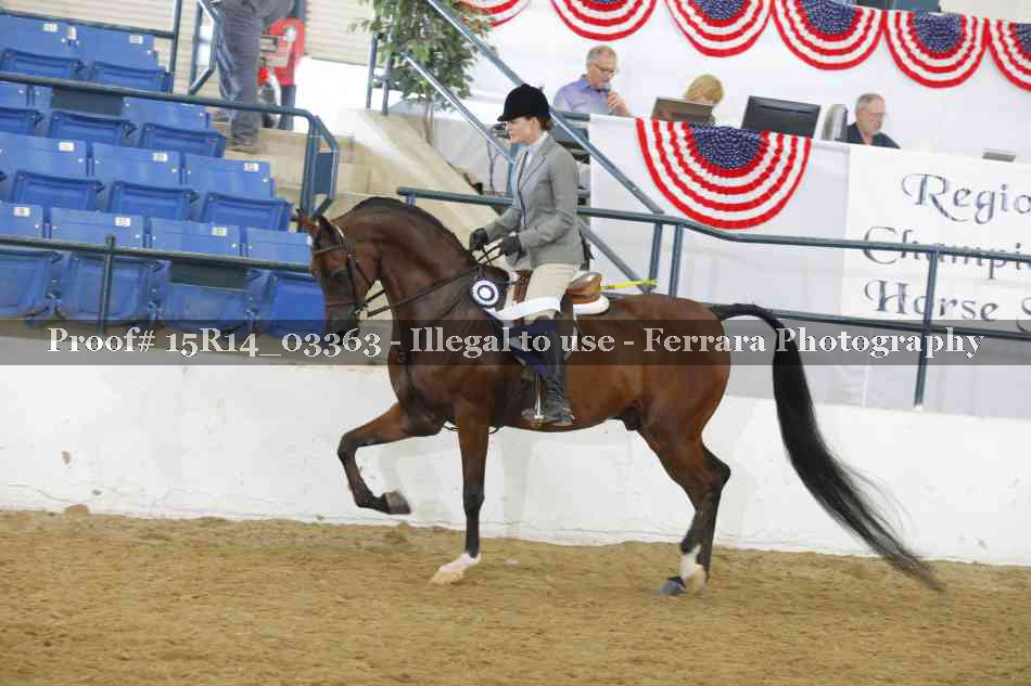 Proof 15R14_03363
