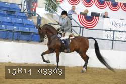 15R14_03363 proof