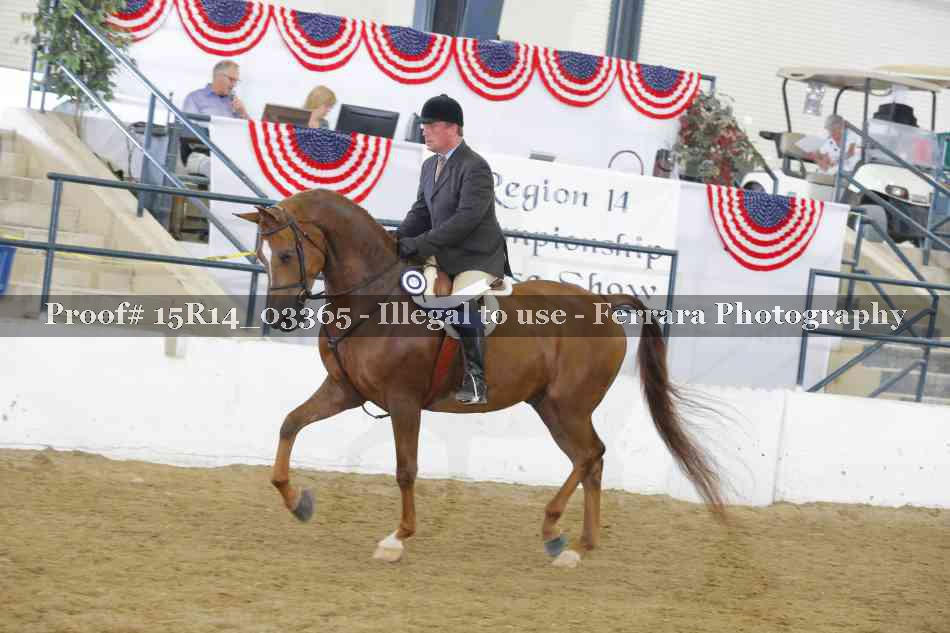 Proof 15R14_03365