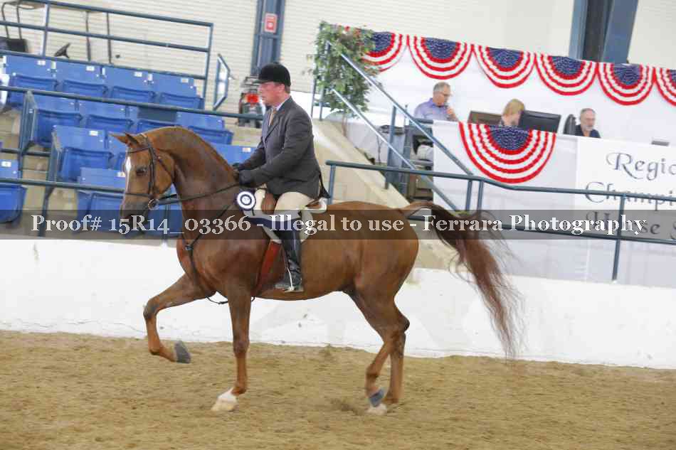 Proof 15R14_03366