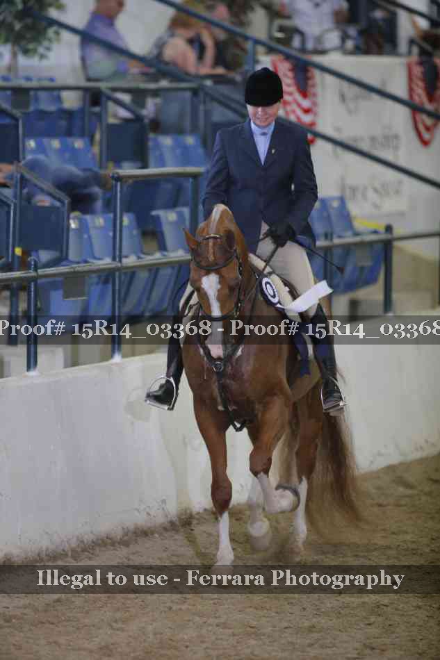 Proof 15R14_03368
