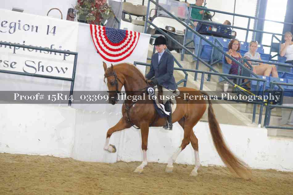 Proof 15R14_03369