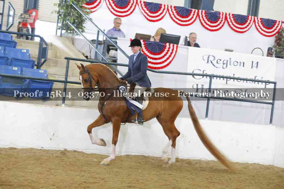 Proof 15R14_03370