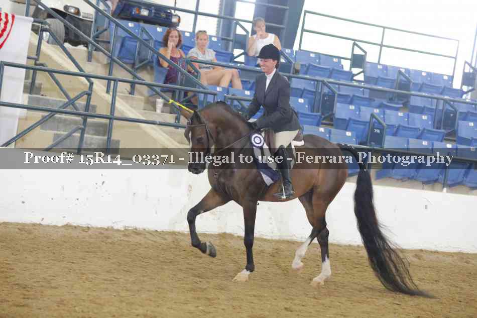 Proof 15R14_03371