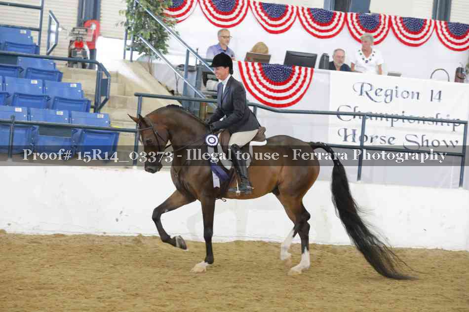 Proof 15R14_03373