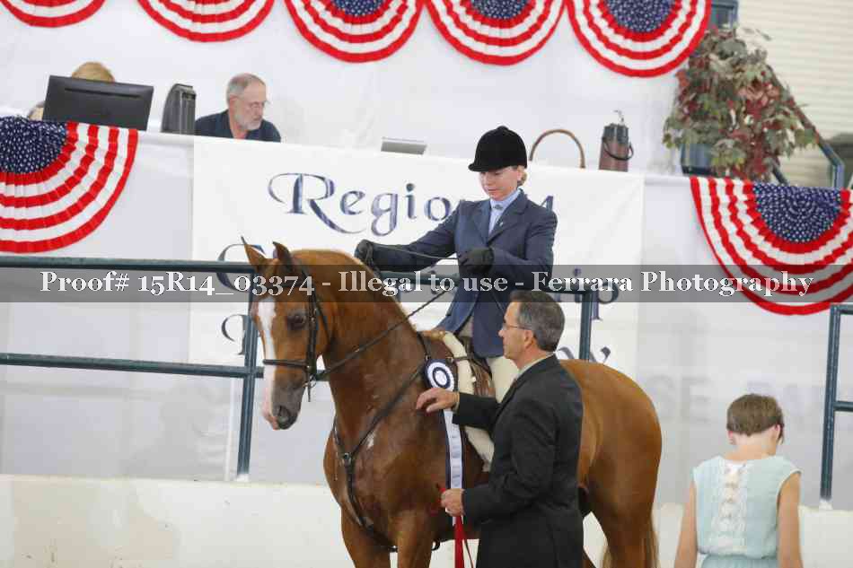 Proof 15R14_03374