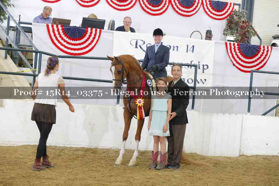 Proof 15R14_03375