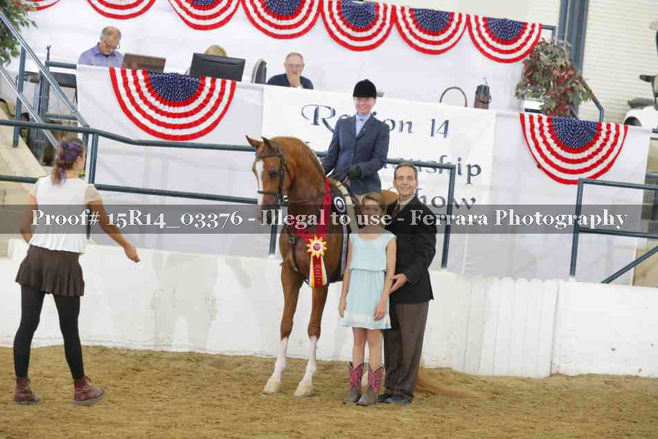Proof 15R14_03376
