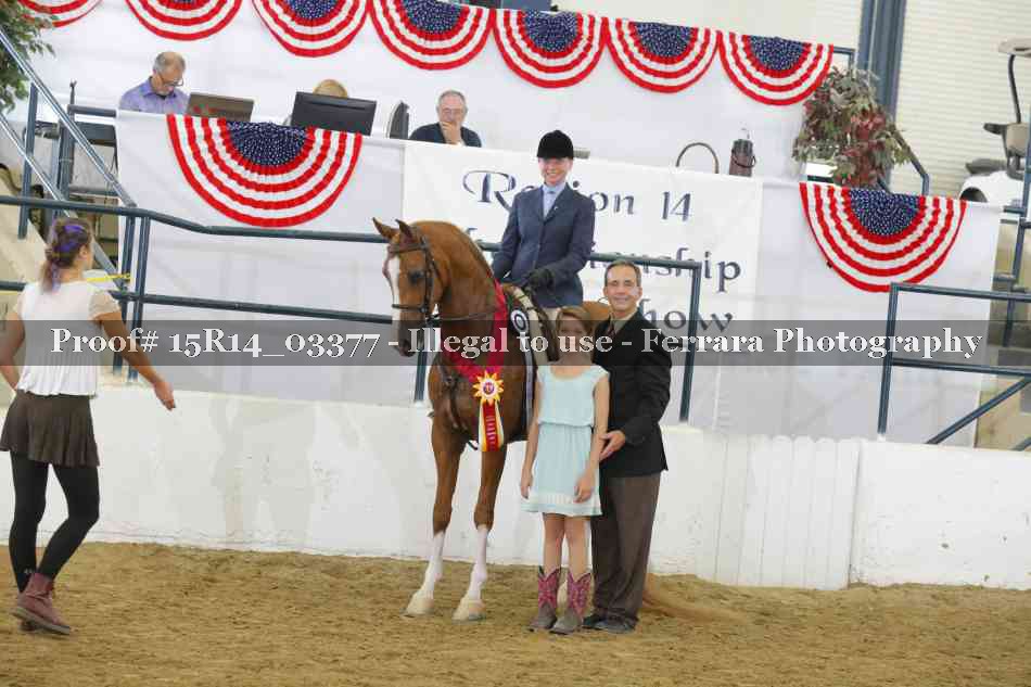 Proof 15R14_03377