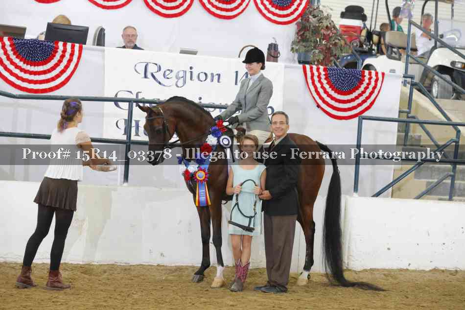 Proof 15R14_03378