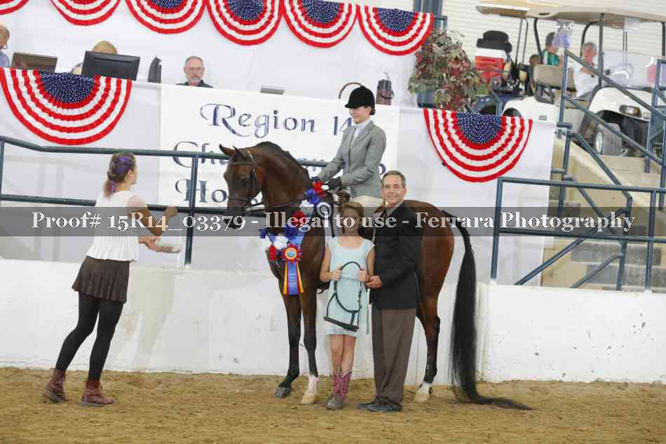 Proof 15R14_03379