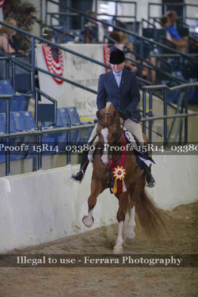 Proof 15R14_03380