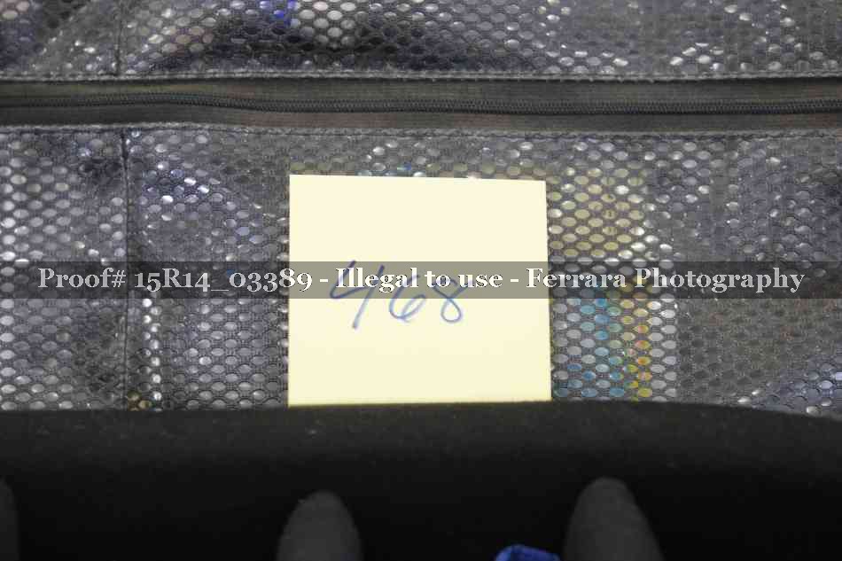 Proof 15R14_03389