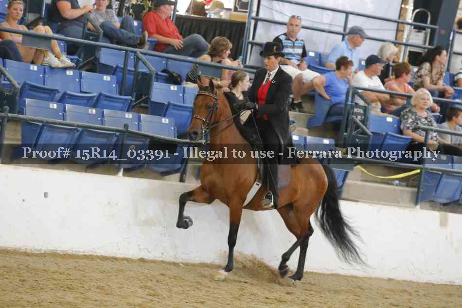 Proof 15R14_03391