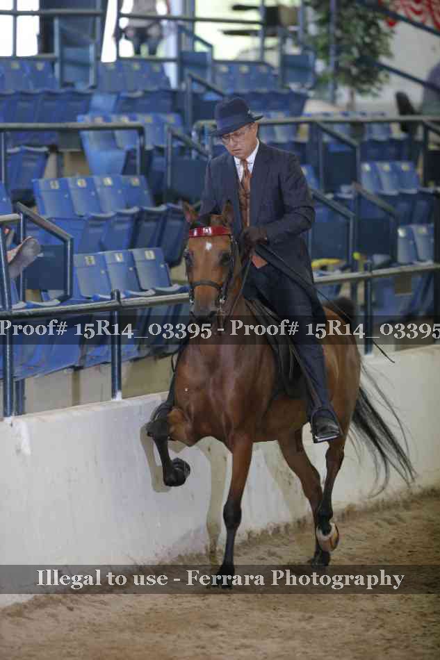 Proof 15R14_03395