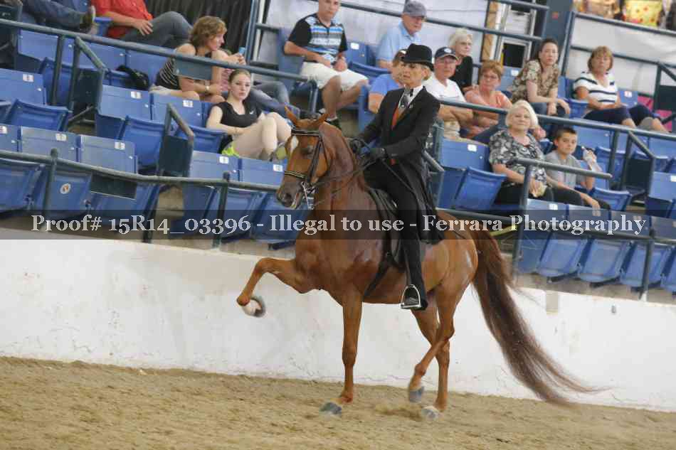 Proof 15R14_03396