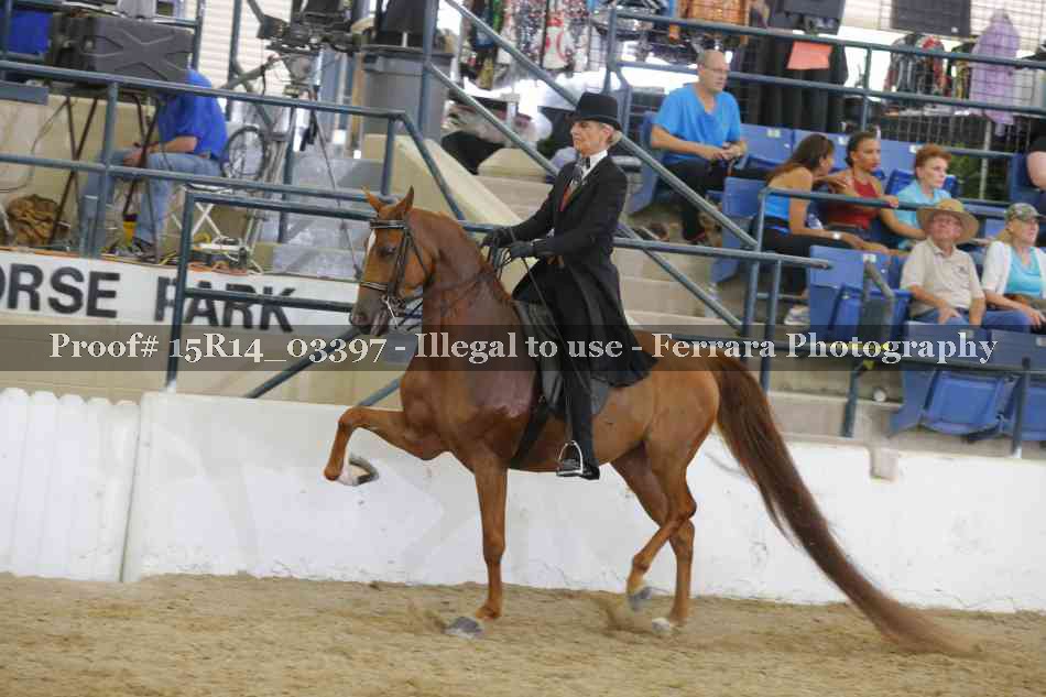 Proof 15R14_03397