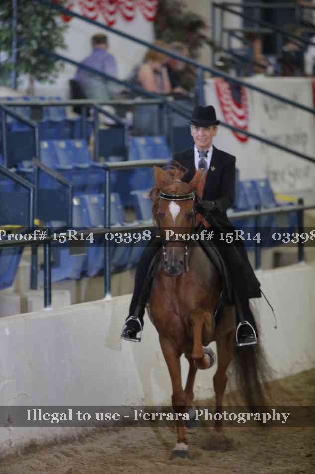 Proof 15R14_03398