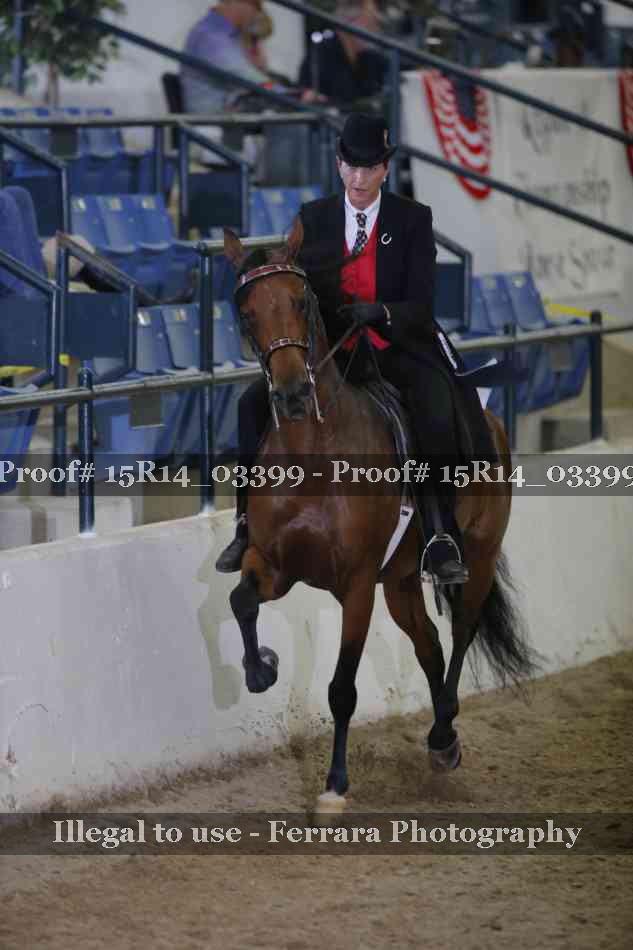 Proof 15R14_03399