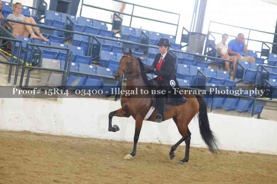 Proof 15R14_03400