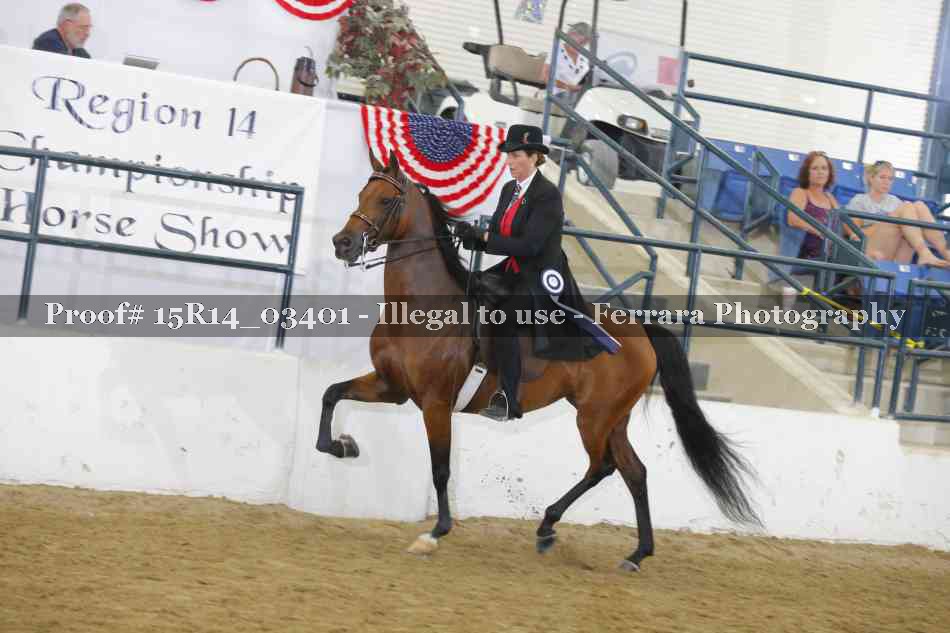 Proof 15R14_03401
