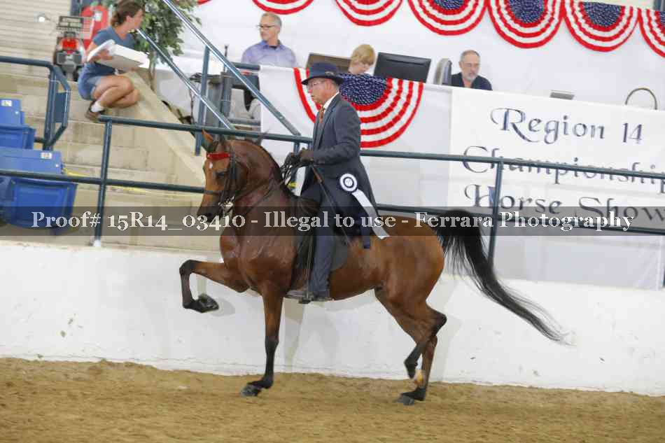 Proof 15R14_03410