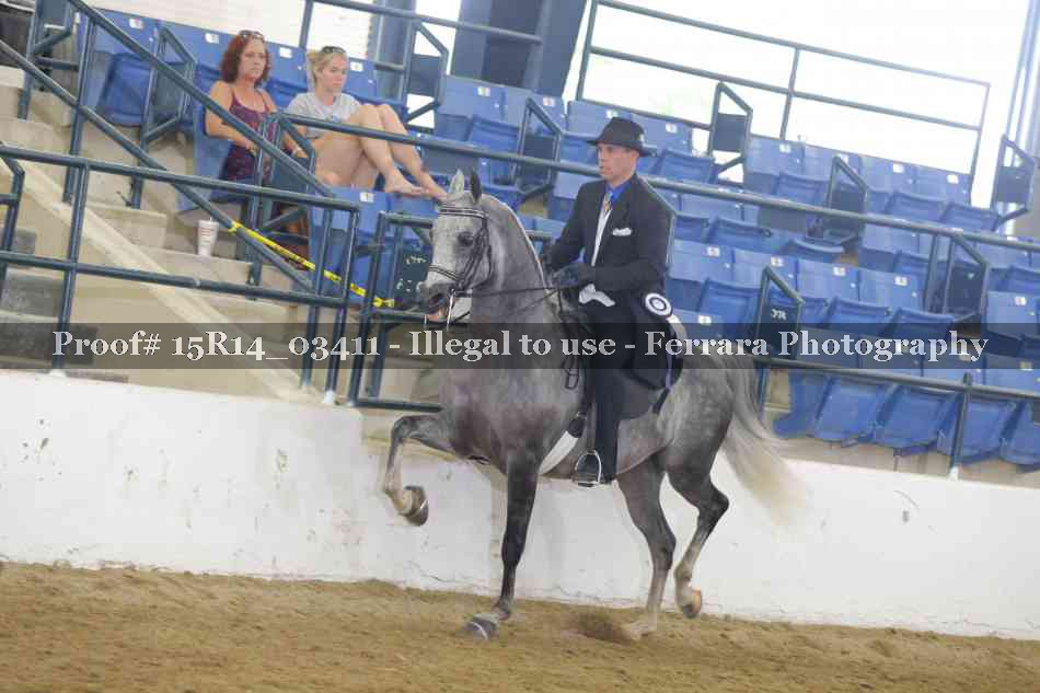 Proof 15R14_03411