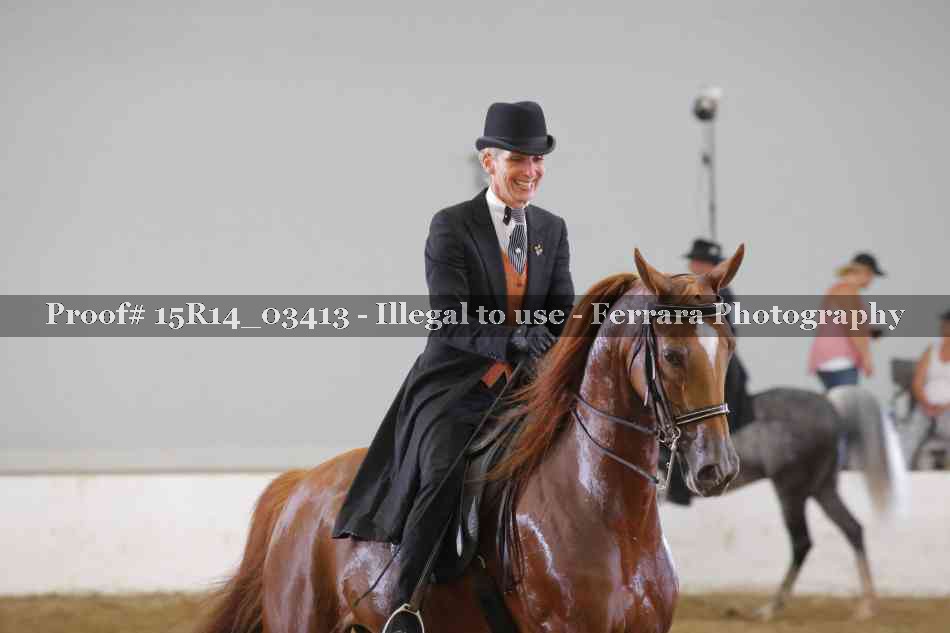 Proof 15R14_03413