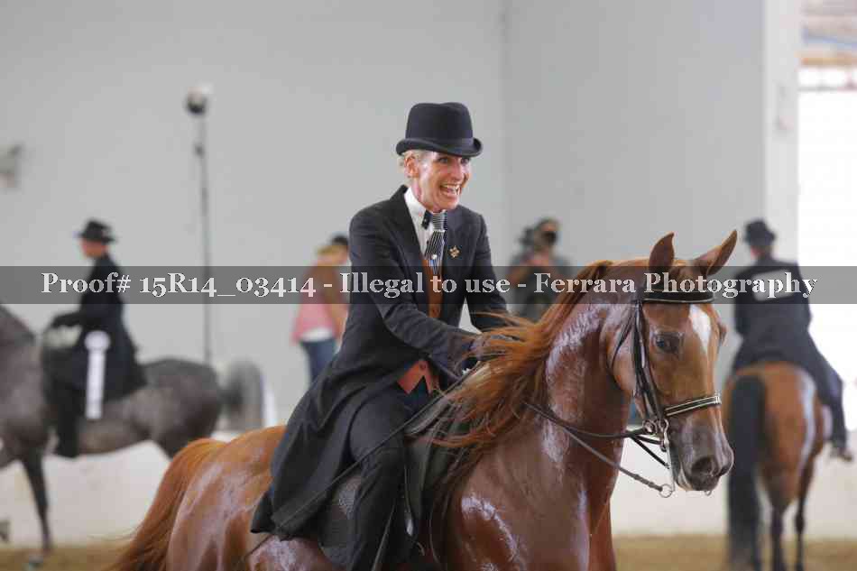 Proof 15R14_03414