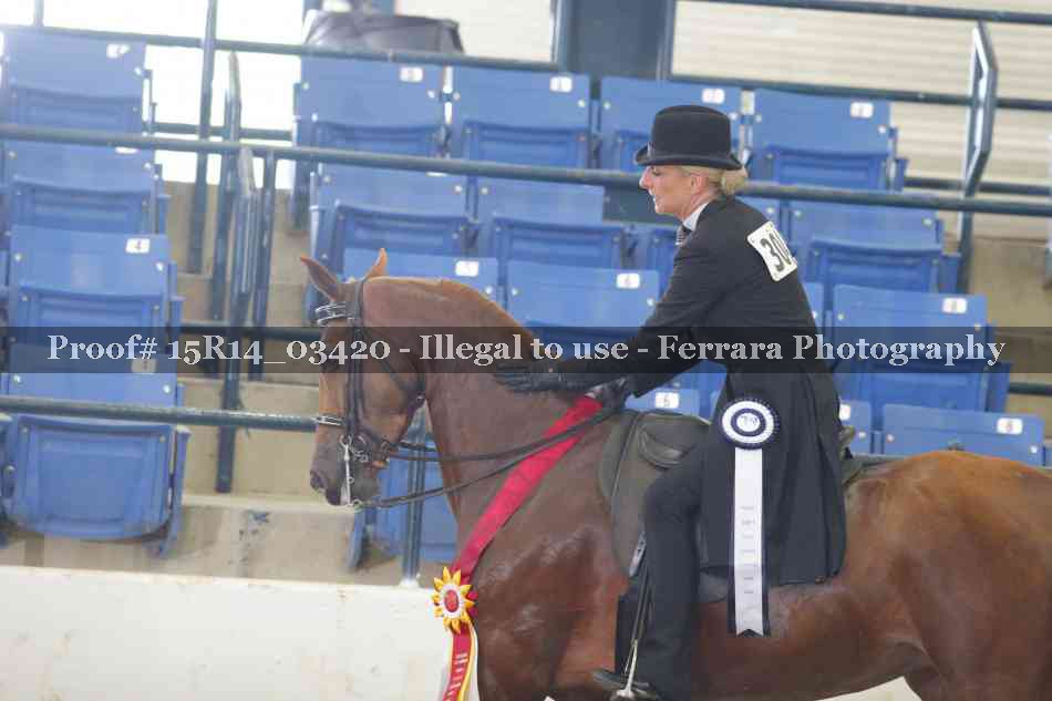Proof 15R14_03420