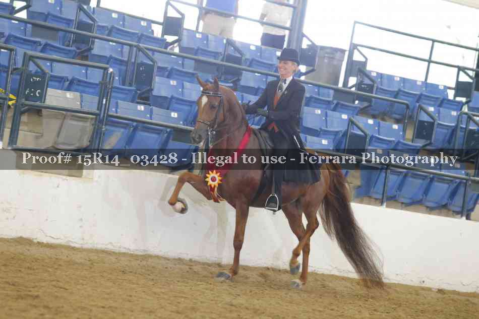 Proof 15R14_03428