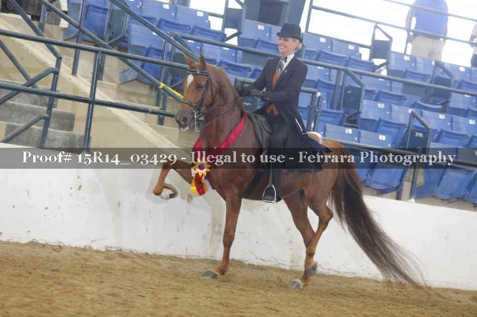 Proof 15R14_03429