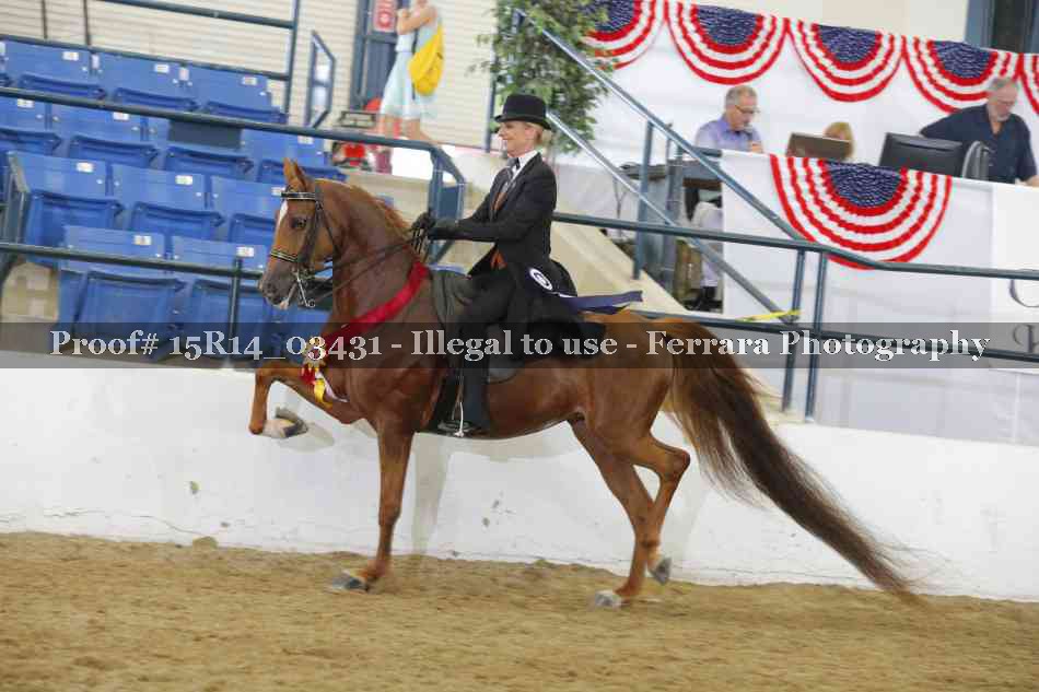 Proof 15R14_03431