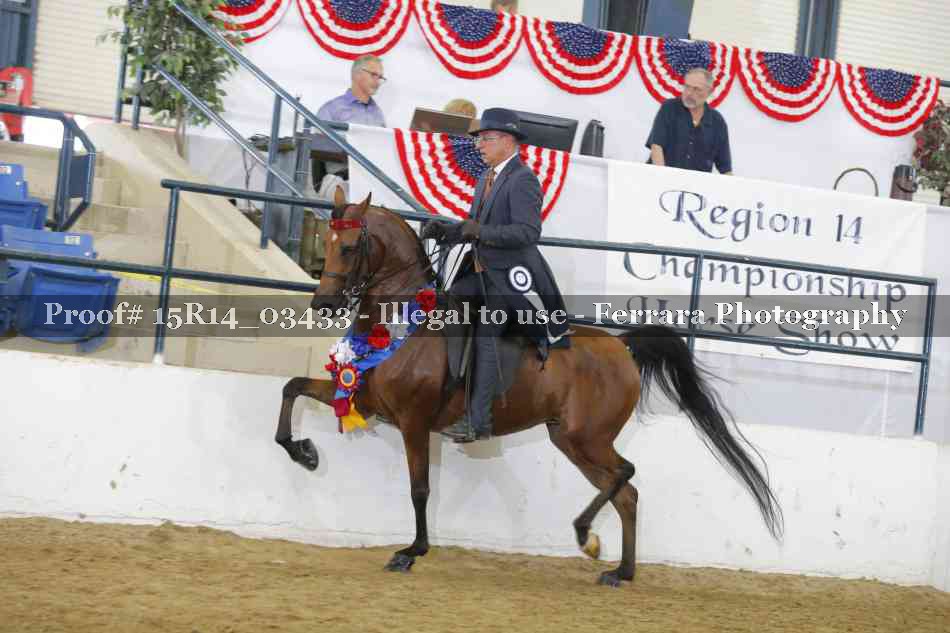 Proof 15R14_03433