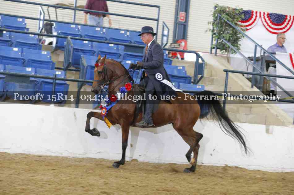 Proof 15R14_03434